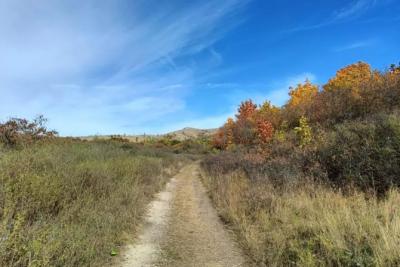 Мнение психолога: позитивные эмоции помогают бороться со стрессом