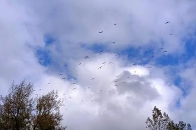 В Самарской области 8 октября будет тепло и облачно