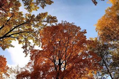 Погода на 11 октября 2025 года: народные приметы и прогноз синоптиков