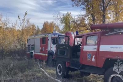 В Тольятти 10 октября вспыхнул лес - фото