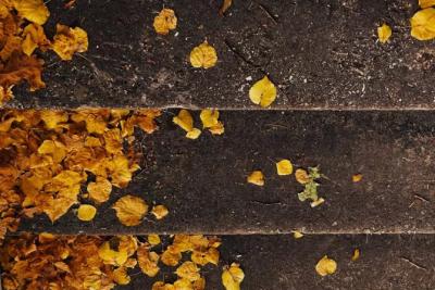 Погода на 12 октября 2025 года: народные приметы и прогноз синоптиков