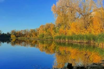 Активисты провели субботник на озере Духовом в Самарской области