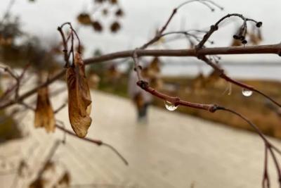 Погода на 13 октября 2025 года: народные приметы и прогноз синоптиков