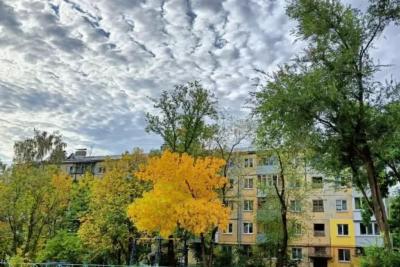 Погода на 14 октября 2025 года: народные приметы и прогноз синоптиков