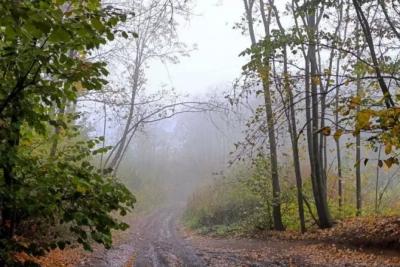 На Самарскую область 13 октября опустился туман