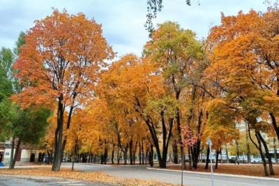 Погода на 15 октября 2025 года: народные приметы и прогноз синоптиков