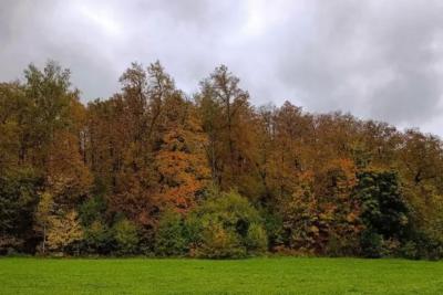 Волонтеры рассказали, когда собираются возобновить поиски семьи Усольцевых