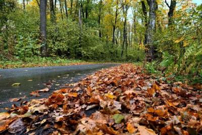 Погода на 20 октября 2025 года: народные приметы и прогноз синоптиков