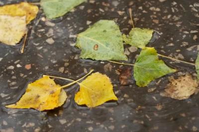 Народные приметы на 24 октября 2025 года: что нельзя делать в этот день