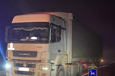 В Сызранском районе на туманной трассе мужчину насмерть сбил КамАЗ: что известно на данный момент