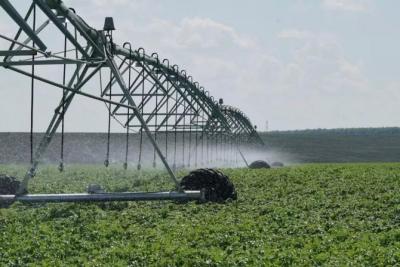 Самарская область активно развивает производство сои