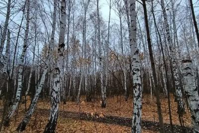 Народные приметы на 30 октября 2025 года: что нельзя делать в этот день