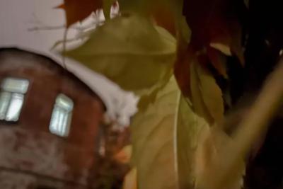 Редкие дожди и «плюс»: прогноз погоды на осенние каникулы в Самарской области