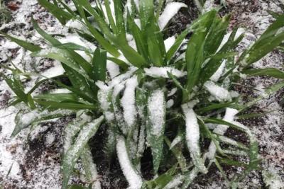 Народные приметы на 5 ноября 2025 года: что нельзя делать в этот день