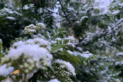 Стало известно, когда в Самару придут первые дневные заморозки
