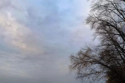 В Самарской области 5 ноября ожидается сильный ветер