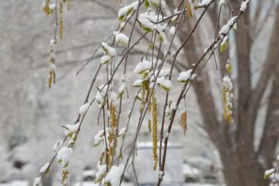 Ниже нуля: когда в Самарской области наступит устойчивый «минус»