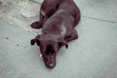 Народные приметы на 8 ноября 2025 года: что нельзя делать в этот день