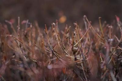 Народные приметы на 10 ноября 2025 года: что нельзя делать в этот день