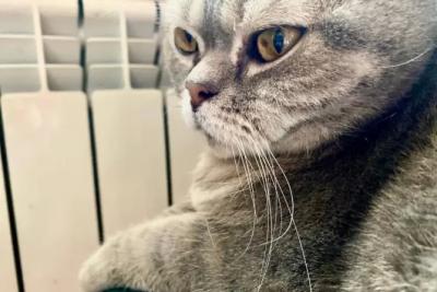 В Роспотребнадзоре напомнили самарцам о правах потребителей в отопительный сезон