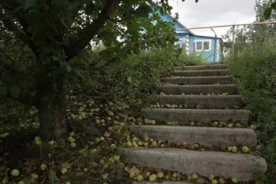 Как часто нужно приезжать на дачу, чтобы не потерять участок: ответ экспертов