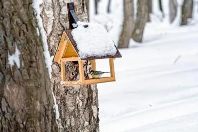 Народные приметы на 12 ноября 2025 года: что нельзя делать в этот день
