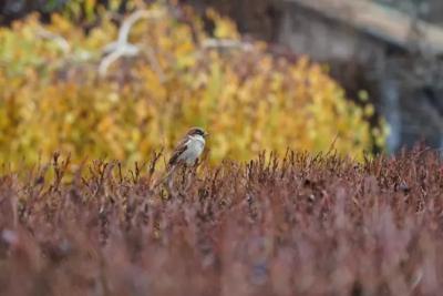 В Самарской области 12 ноября ожидается промозглая погода