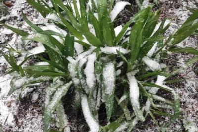 В Самарской области 16 ноября теплую погоду сменит снег с дождем