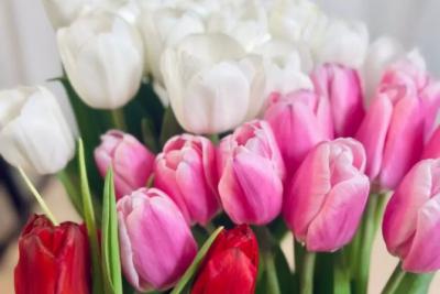 День матери в 2025 году: история праздника