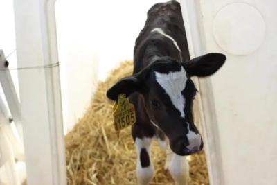 Народные приметы на 28 ноября 2025 года: что нельзя делать в этот день