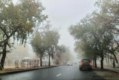 Жителей Самарской области предупредили о тумане 30 ноября