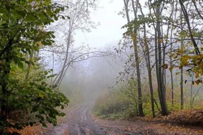Самарскую область 1 декабря накроет туман