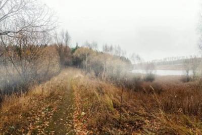 В Самарской области 2 декабря будет пасмурно и туманно