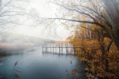 В Самарской области 3 декабря ожидается туман