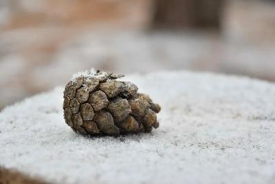 В Самарской области 5 декабря температура опустится ниже нуля