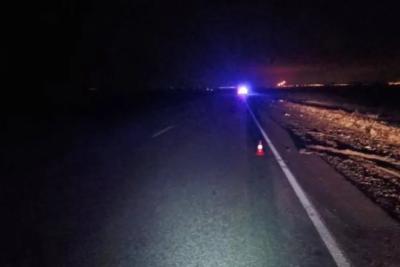 Стоял на дороге: в Сызранском районе 7 декабря КамАЗ насмерть сбил пешехода