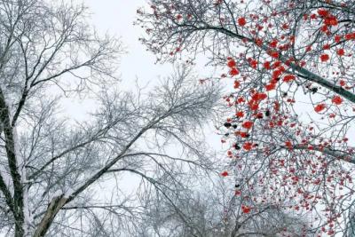 10 декабря в Самарской области будет холодно и ветрено