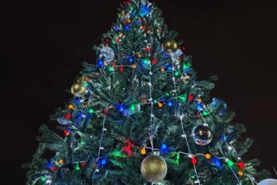 В Тольятти на новогодних праздниках полицейские и добровольцы будут патрулировать улицы