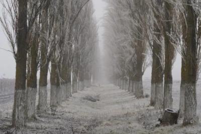 Ночью 14 декабря Самарскую область заметет снегом