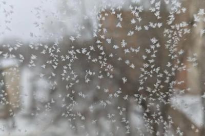 В Самарской области в декабре потеплеет до +1 &deg;C