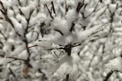 В Самарской области 19 декабря ожидается гололед и снег