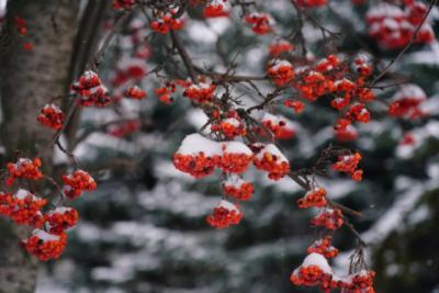 Народные приметы на 2 января 2026 года: что нельзя делать в этот день