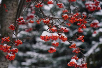 Народные приметы на 9 января 2026 года: что нельзя делать в этот день