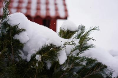 Народные приметы на 16 января 2026 года: что нельзя делать в этот день