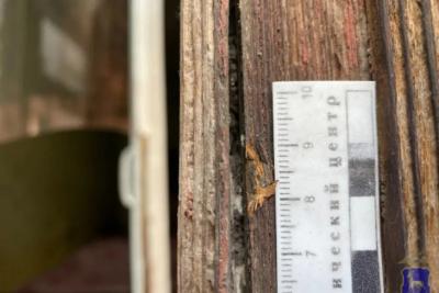 В Сызранском районе мужчина стащил с чужой дачи инструменты, садовую технику и канистру с бензином