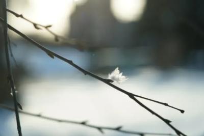 В Самарской области 18 января сохранится морозная погода со слабым ветром