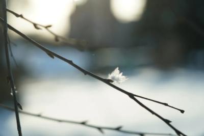 В Самарской области 23 января ударят 30-градусные морозы