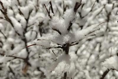 В Самарской области 19 декабря ожидается гололед и снег