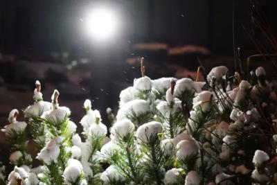 В Самарской области ожидается снежный февраль