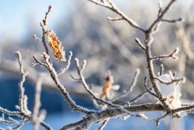 Народные приметы на 2 февраля 2025 года: что нельзя делать в этот день